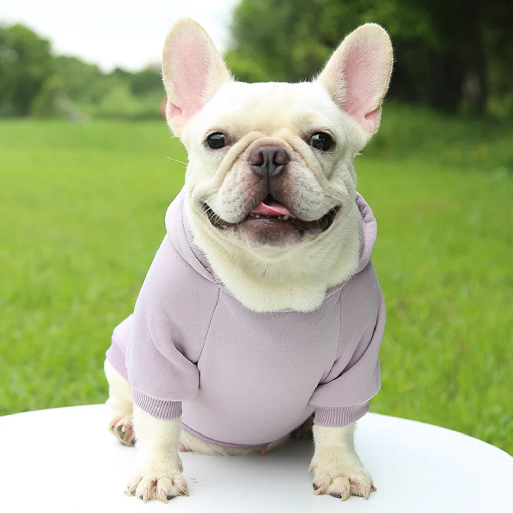 Dog Winter Warm Hooded Sweatshirt For Small Medium Dog Pet Coat Puppy Cat Apparel Outfit Clothes For Chihuahuas French Bulldog