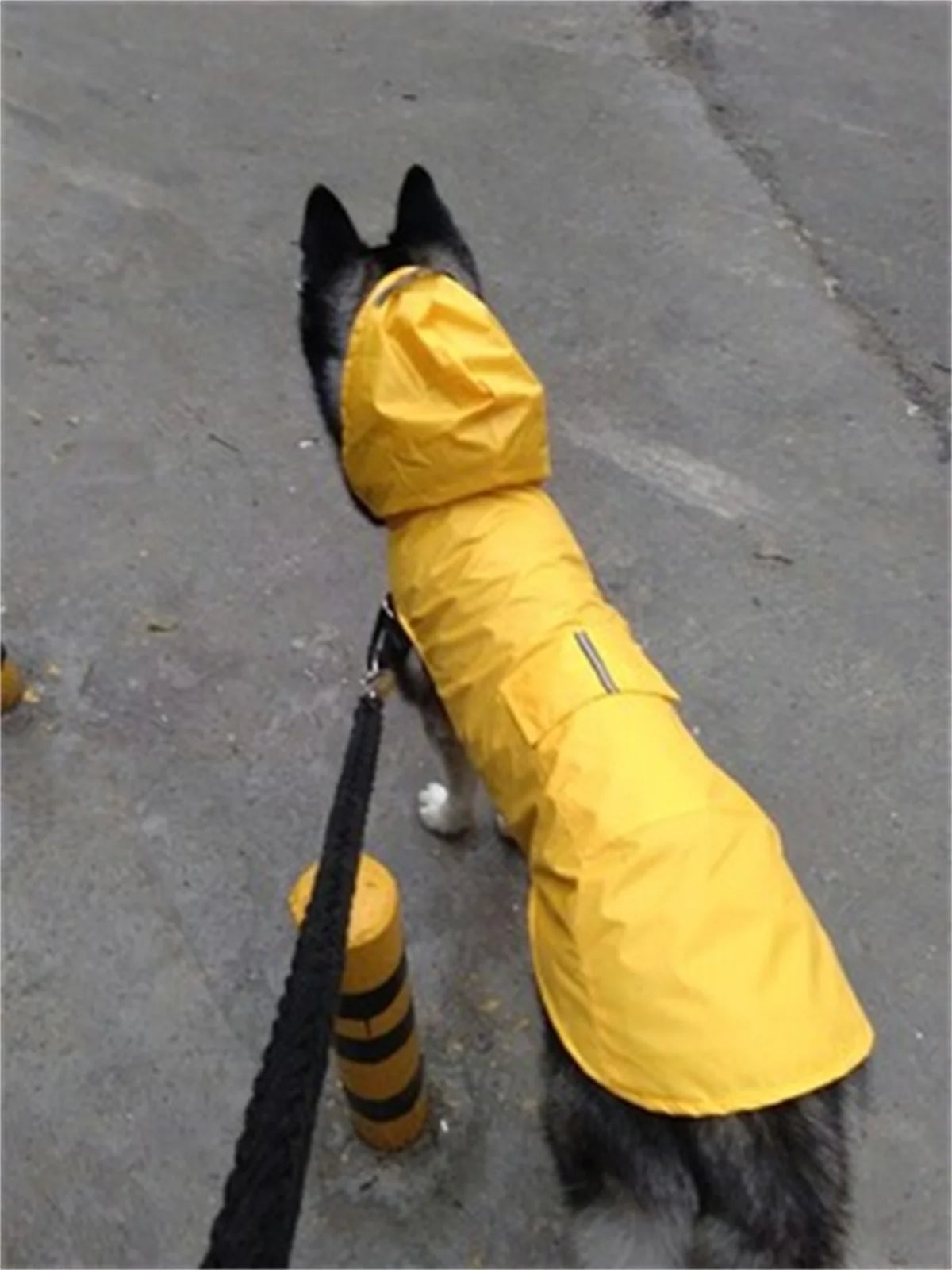 Dog Raincoat Convenient Reflective Pet Rainy Dog Clothes Outdoor Waterproof Cape Pet Raincoat